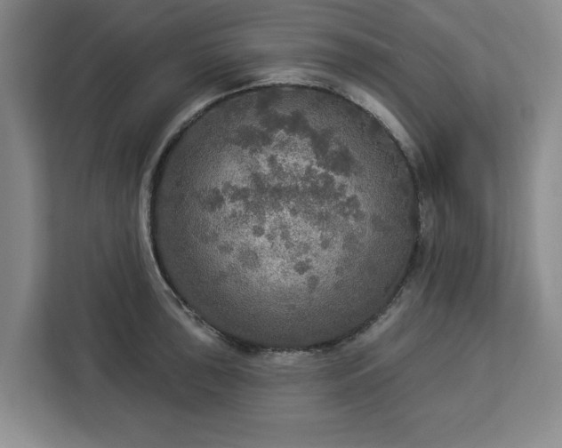 X0000112911043200908311233