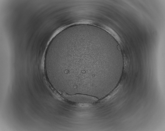 X0000112911044200908311233