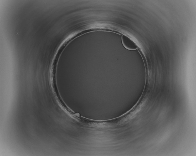 X0000112911045200908311233