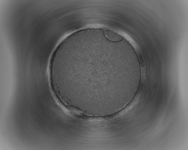 X0000112911046200908311233