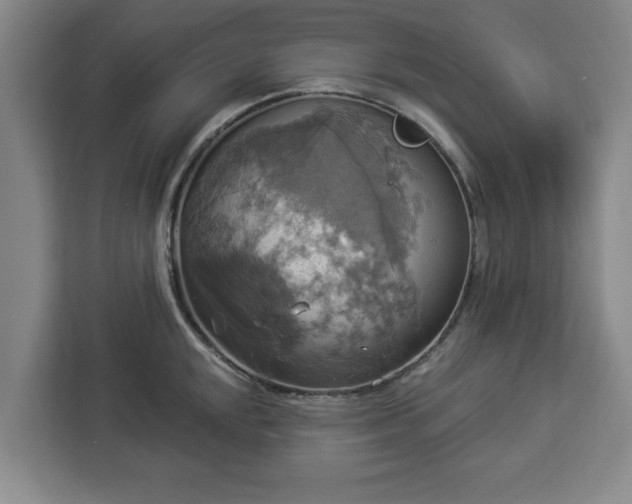 X0000112911048200908311233