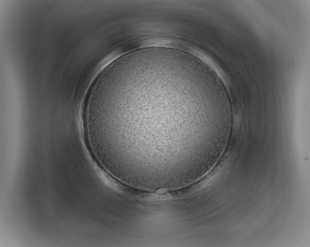 X0000112911050200908311233