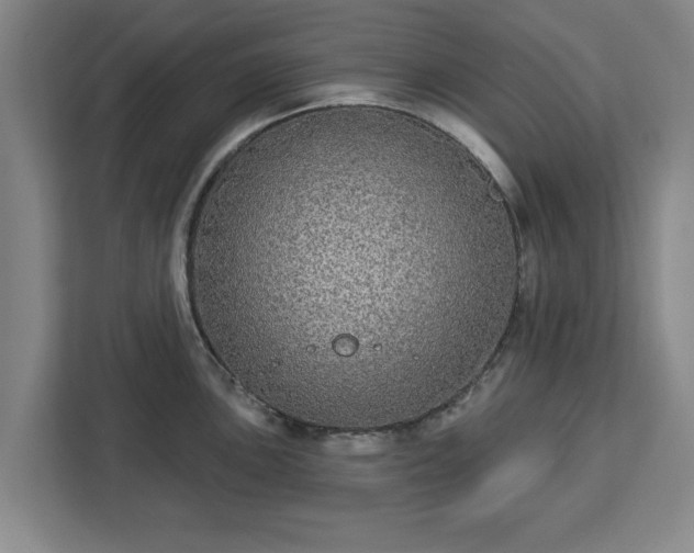 X0000112911051200908311233