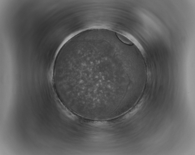 X0000112911052200908311233