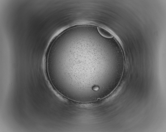 X0000112911053200908311233