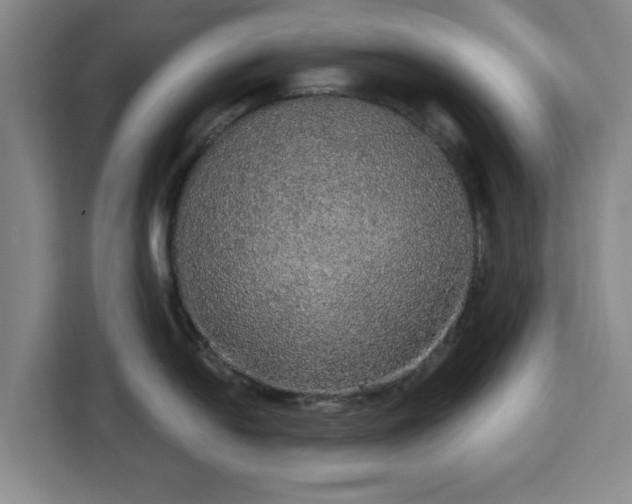 X0000112911054200908311233