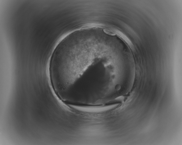 X0000112911055200908311233