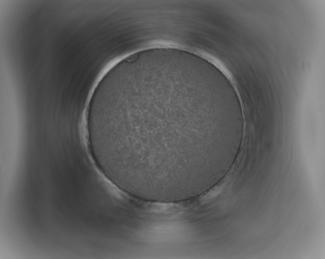 X0000112911056200908311233