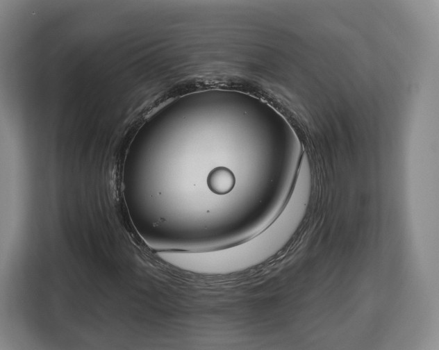 X0000112911060200908311233