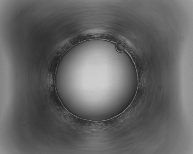 X0000112911062200908311233