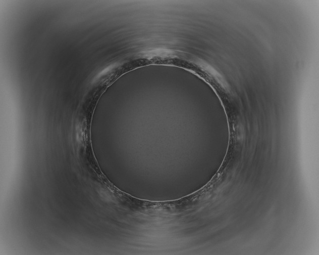 X0000112911063200908311232