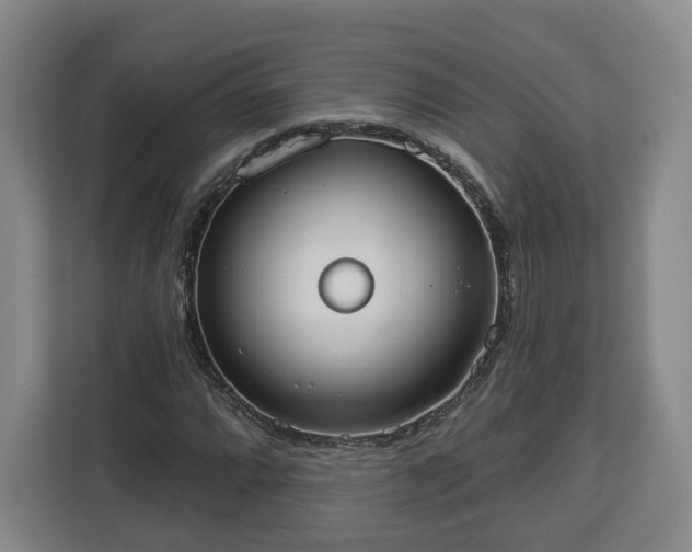 X0000112911064200908311232