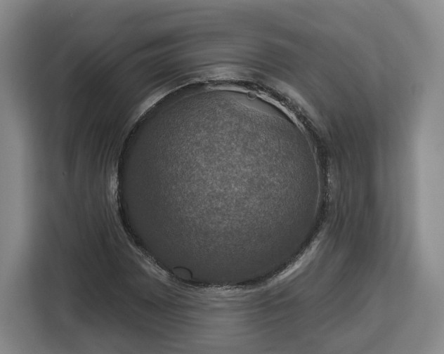 X0000112911065200908311232