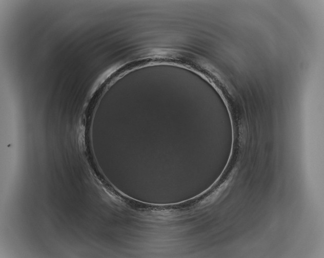 X0000112911066200908311232