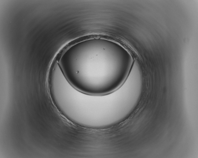 X0000112911068200908311232