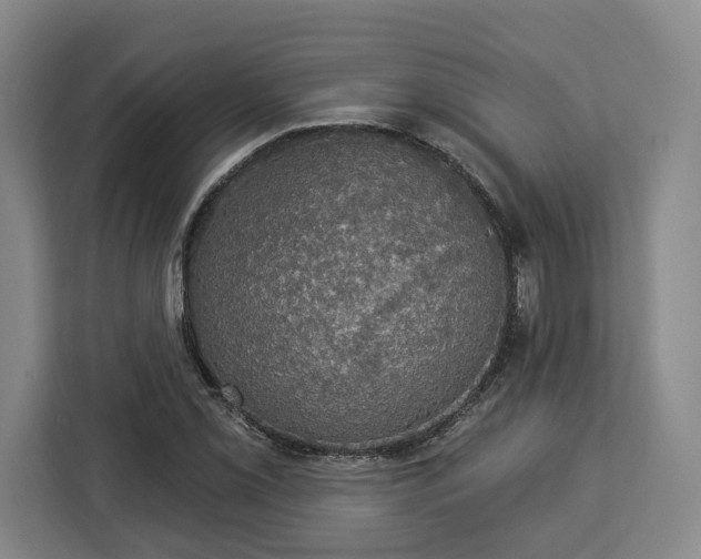 X0000112911069200908311232