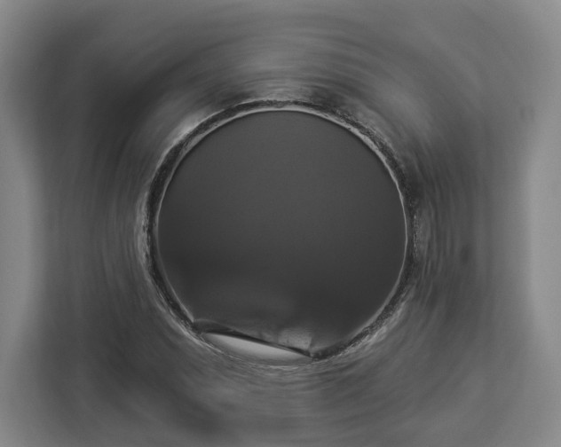 X0000112911071200908311232