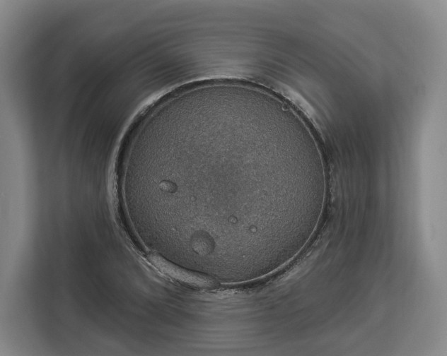 X0000112911072200908311232