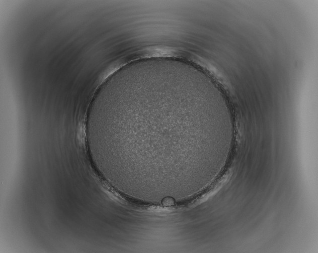 X0000112911073200908311232