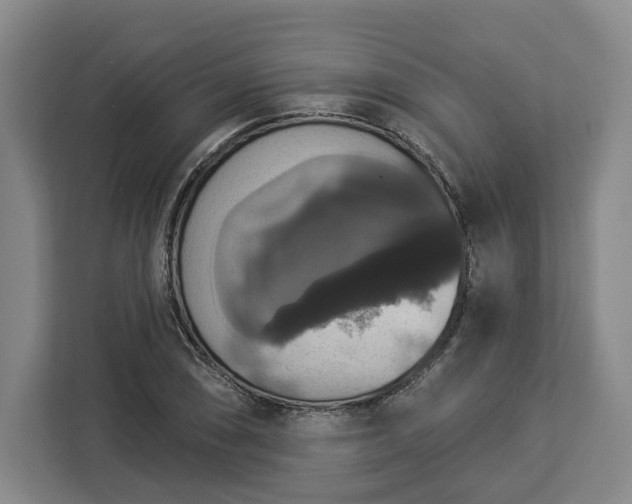 X0000112911074200908311232