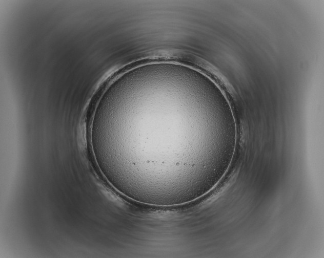 X0000112911075200908311232