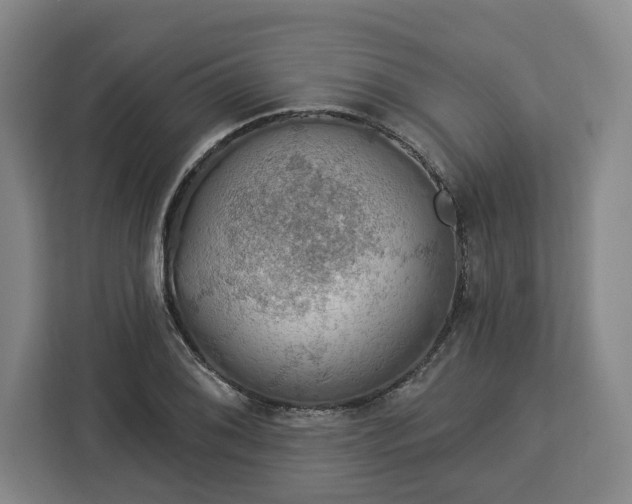 X0000112911076200908311232