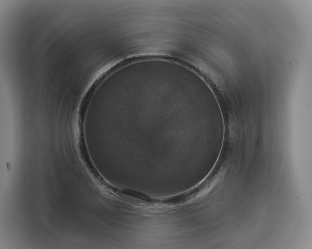 X0000112911077200908311232