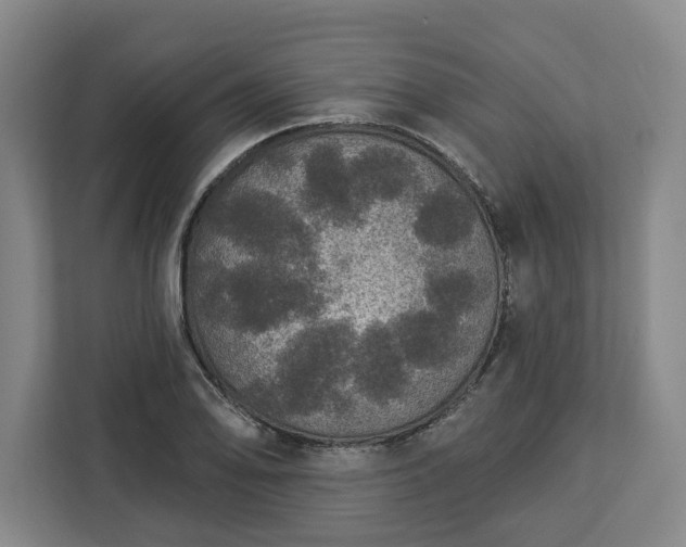 X0000112911078200908311232