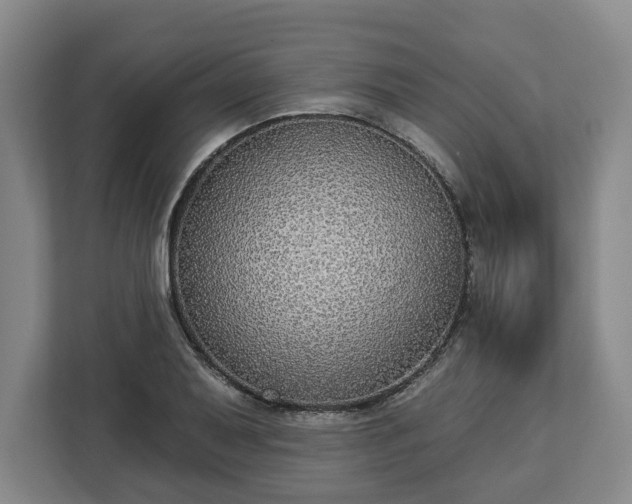 X0000112911079200908311232