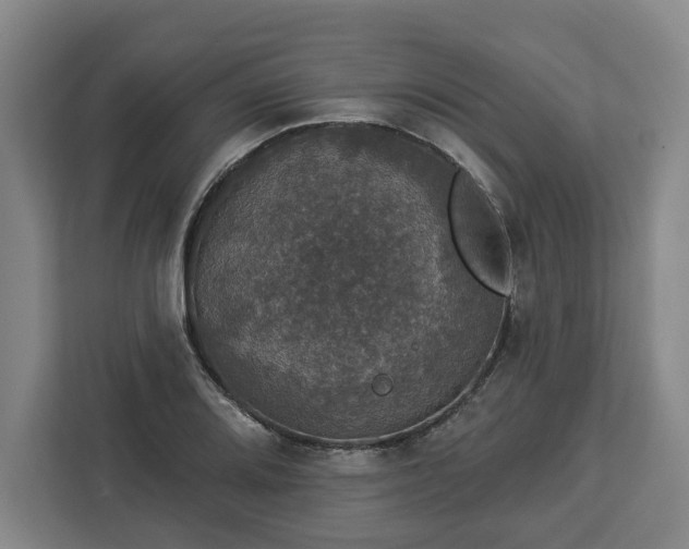 X0000112911080200908311232