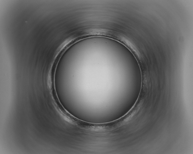 X0000112911082200908311232