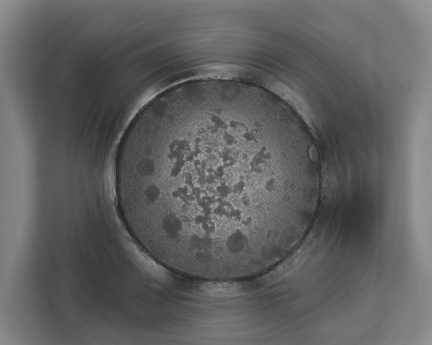 X0000112911083200908311232