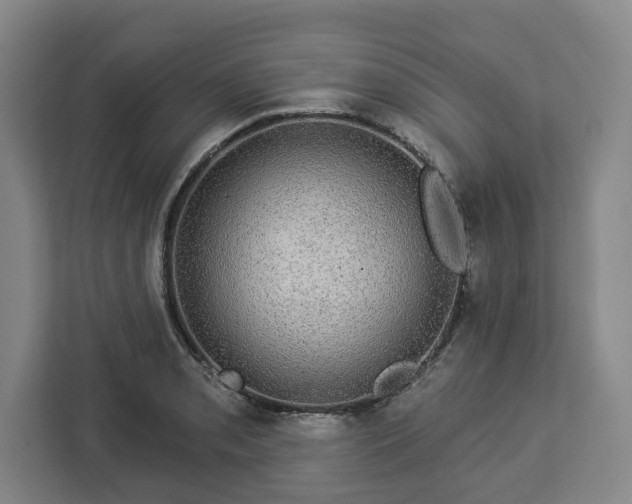 X0000112911085200908311232