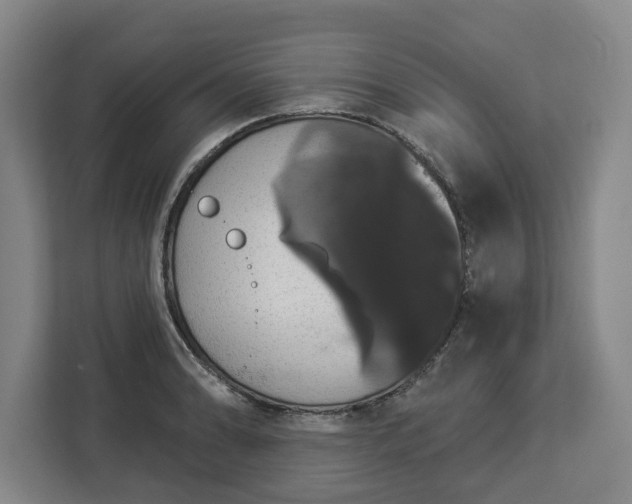 X0000112911086200908311232