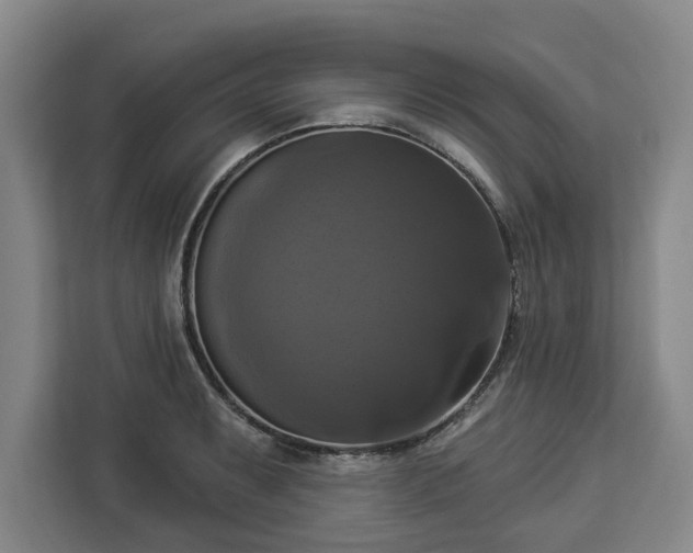 X0000112911087200908311232