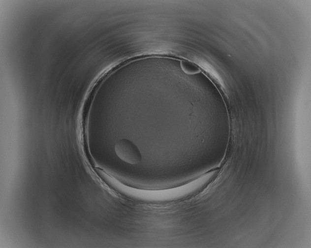 X0000112911088200908311232