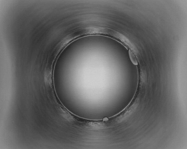 X0000112911089200908311232