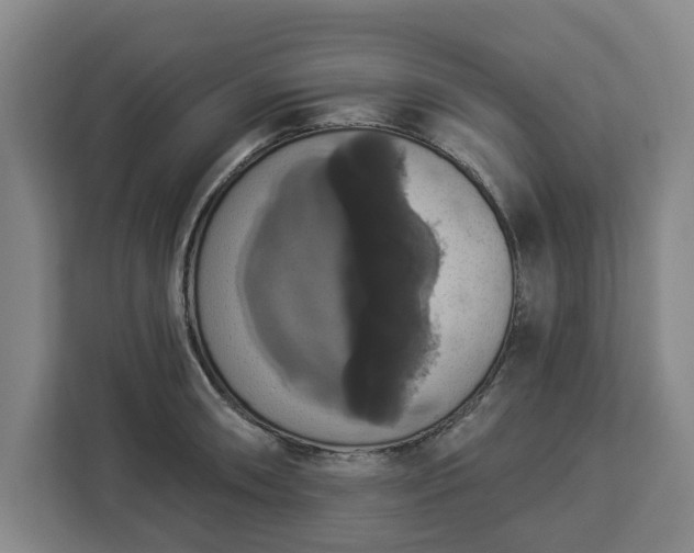 X0000112911090200908311232