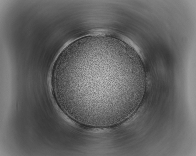 X0000112911091200908311232