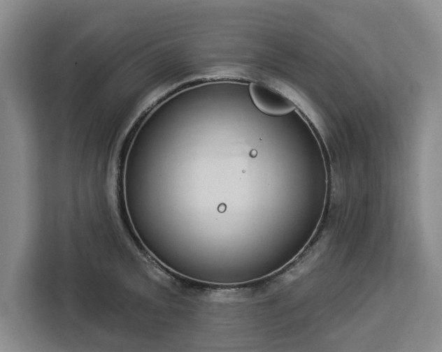 X0000112911093200908311232