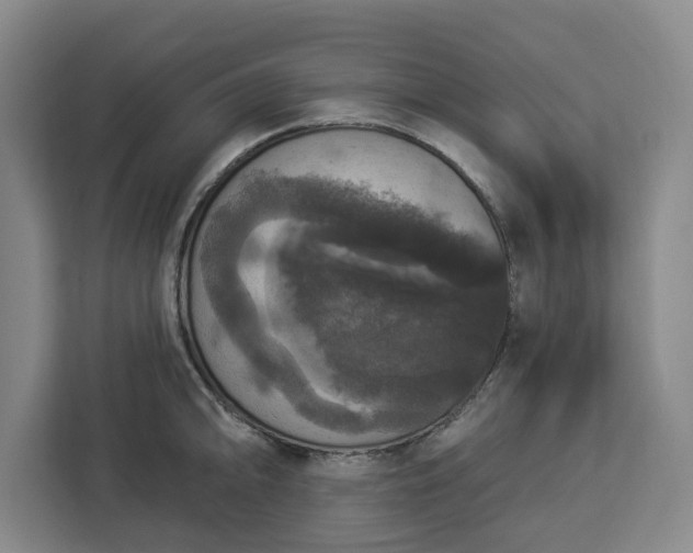 X0000112911094200908311232