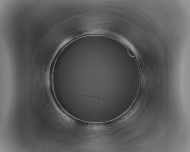 X0000112911095200908311232