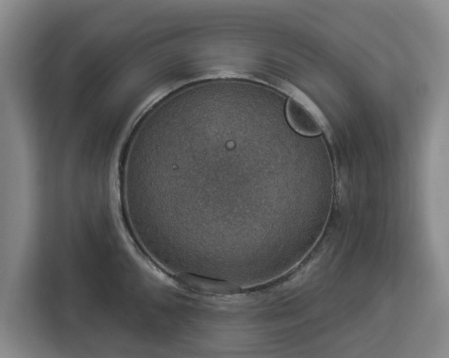 X0000112911096200908311232