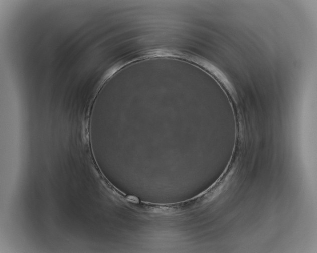 X0000112911097200908311232