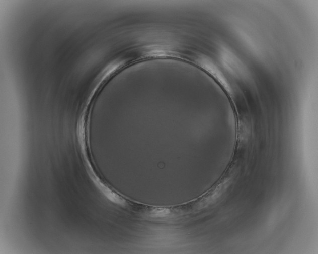 X0000112911098200908311232