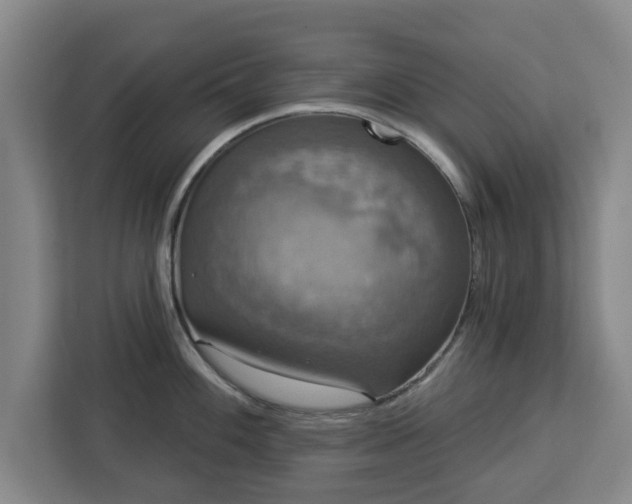 X0000112911100200908311232