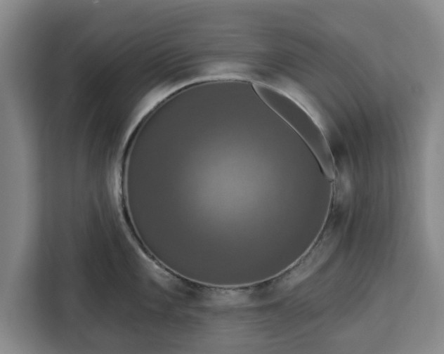 X0000112911101200908311232