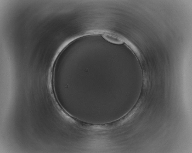 X0000112911102200908311232