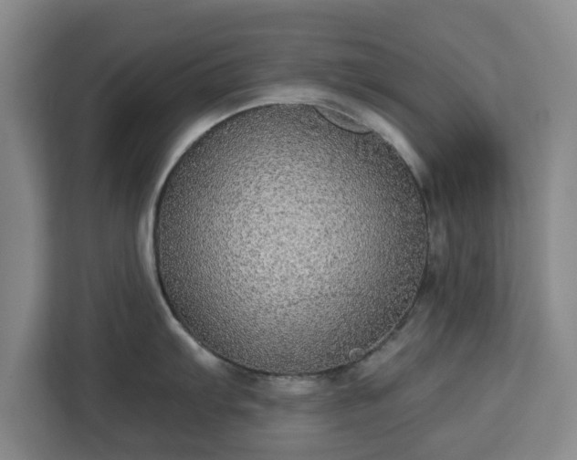 X0000112911103200908311232