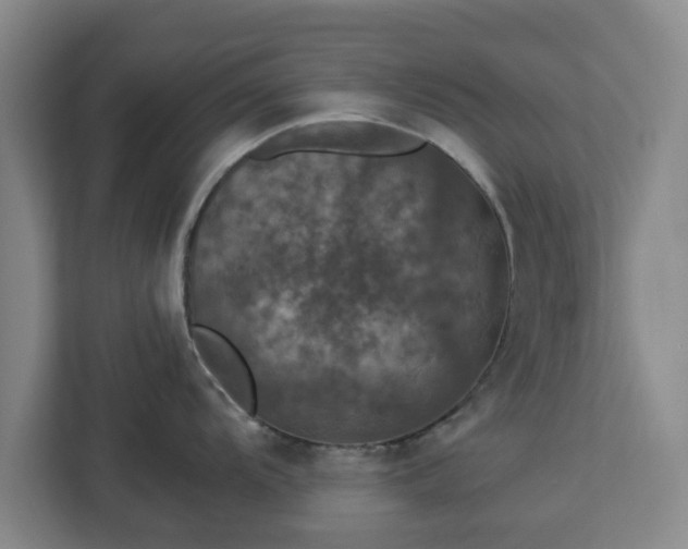 X0000112911104200908311232